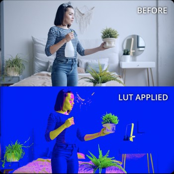 Perfect white balance indicator LUT